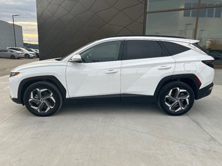 2022 Hyundai Tucson Hybrid LUXURY in Winnipeg, Manitoba - 2 - px