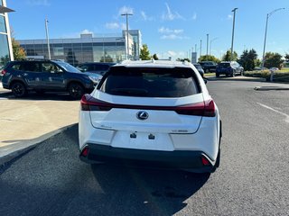 2021  UX 250h AWD Hybride Toit ouvrant Carplay in Sainte-Julie, Quebec - 4 - w320h240px