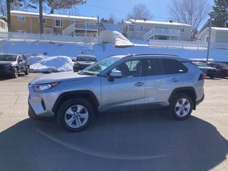 2019  RAV4 XLE in Rivière-du-Loup, Quebec - 2 - w320h240px