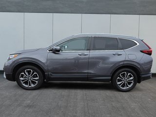 Honda CR-V EX-L 2021 à Rivière-du-Loup, Québec - 5 - w320h240px