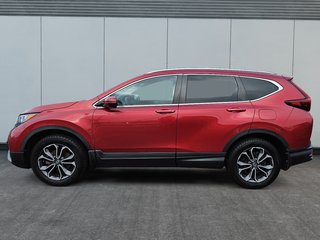 Honda CR-V EX-L 2021 à Rivière-du-Loup, Québec - 5 - w320h240px