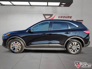 Ford Escape SEL *HYBRIDE, CUIR, AWD* 2022 à Rivière-du-Loup, Québec - 3 - w320h240px