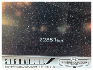 Hyundai Santa Fe LUXURY,AWD,7 PLACES 2024 à Riviere-Du-Loup, Québec - 4 - w320h240px
