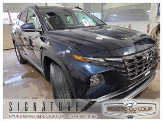 Hyundai Tucson PREFERRED+TREND,AWD,CUIR,TOIT,MAGS 2022 à Riviere-Du-Loup, Québec - 4 - w320h240px
