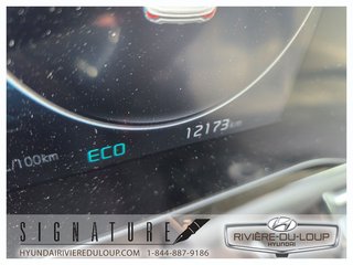2025 Kia Niro Plug-In Hybrid EX PREMIUM,FWD,CUIR,TOIT,MAG,GPS in Riviere-Du-Loup, Quebec - 4 - w320h240px