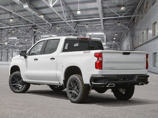 Chevrolet Silverado 1500 LT TRAIL BOSS STD/BOX (2LT) 2025 à Cowansville, Québec - 4 - w320h240px