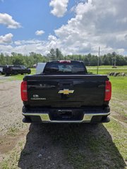 2016 Chevrolet Colorado 4WD WT in Cowansville, Quebec - 6 - w320h240px