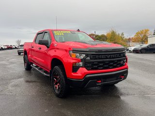 Chevrolet Silverado 1500 Custom Trail Boss 2024 à Cowansville, Québec - 3 - w320h240px