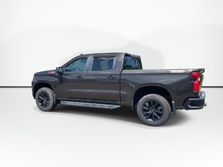 2020 Chevrolet SILVERADO 1500 in Antigonish, Nova Scotia - 4 - w320h240px