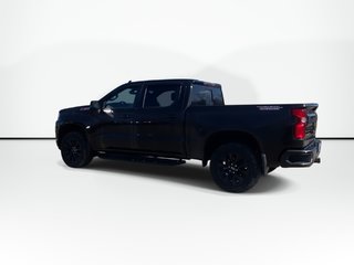 2020 Chevrolet SILVERADO 1500 in Antigonish, Nova Scotia - 6 - w320h240px
