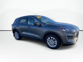 2022 Ford ESCAPE SE | Cam | Co-Pilot360™| USB | Bluetooth | Keyless in Saint John, New Brunswick - 2 - w320h240px