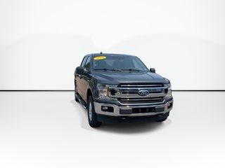 2019 Ford F-150 XLT in Saint John, New Brunswick - 3 - w320h240px