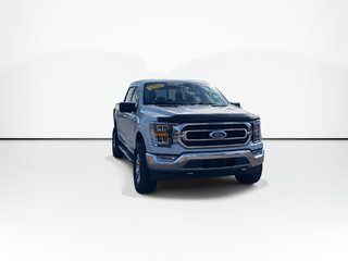 2021 Ford F-150 XLT | 4WD | Cam | Cruise | Bluetooth in Saint John, New Brunswick - 3 - w320h240px
