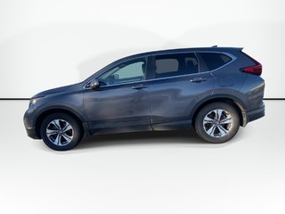 2020 Honda CR-V LX | Cam | USB | Bluetooth | Adp.Cruise | LaneAsst in Saint John, New Brunswick - 5 - w320h240px