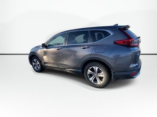 2020 Honda CR-V LX | Cam | USB | Bluetooth | Adp.Cruise | LaneAsst in Saint John, New Brunswick - 6 - w320h240px