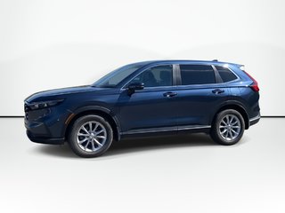 2024 Honda CR-V EX-L in Saint John, New Brunswick - 5 - w320h240px