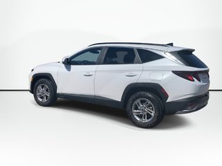 2025 Hyundai Tucson in Antigonish, Nova Scotia - 6 - w320h240px