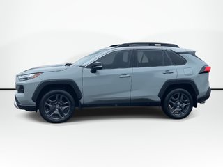 2023 Toyota RAV4 Trail | Roof Rails | Htd Wheel | AWD in Saint John, New Brunswick - 5 - w320h240px