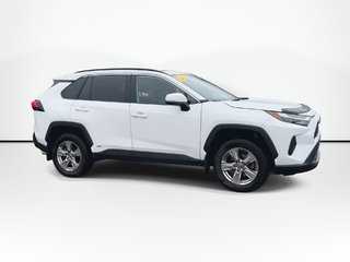 2024 Toyota RAV4 in Antigonish, Nova Scotia - 2 - w320h240px