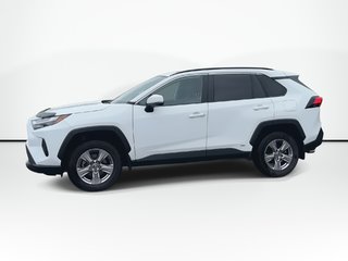 2024 Toyota RAV4 in Antigonish, Nova Scotia - 5 - w320h240px