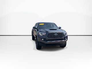 2023 Toyota TACOMA BASE