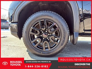 2023 GMC Sierra 1500 Elevation in Miramichi, New Brunswick - 6 - w320h240px