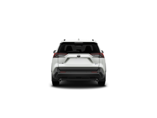 RAV4 Hybrid XLE AWD 2025 à Miramichi, Nouveau-Brunswick - 6 - w320h240px