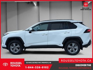 2024 Toyota RAV4 Hybrid LE in Miramichi, New Brunswick - 5 - w320h240px