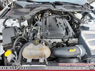 2019 Ford Mustang EcoBoost Premium in Sept-Iles, Quebec - 6 - w320h240px