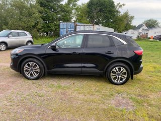 2021 Ford ESCAPE SEL | Cam | USB | HtdSeats | Bluetooth | Keyless in Amherst, Nova Scotia - 6 - w320h240px