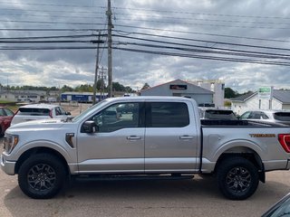 Ford F-150 Tremor | Cam | USB | Bluetooth | Keyless | Cruise 2022 à Hebbville, Nouvelle-Écosse - 4 - w320h240px