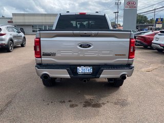 Ford F-150 Tremor | Cam | USB | Bluetooth | Keyless | Cruise 2022 à Hebbville, Nouvelle-Écosse - 6 - w320h240px
