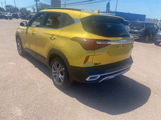 2023 Kia Seltos EX | Leather | SunRoof | Cam | Warranty to 2028 in Hebbville, Nova Scotia - 4 - w320h240px