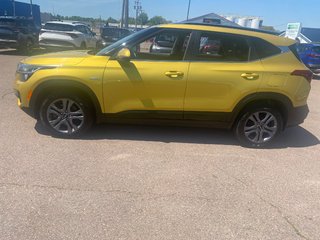 2023 Kia Seltos EX | Leather | SunRoof | Cam | Warranty to 2028 in Hebbville, Nova Scotia - 3 - w320h240px