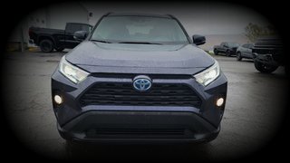 2021 Toyota RAV4 in Gaspé, Quebec - 3 - w320h240px