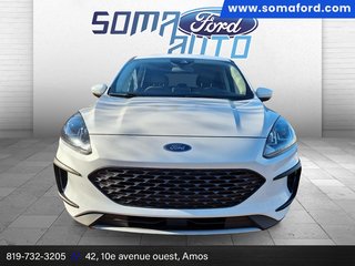Ford Escape SE 2020 à Amos, Québec - 2 - w320h240px