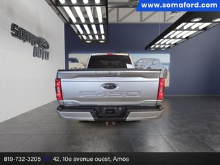 Ford F-150 XL 2023 à Amos, Québec - 3 - w320h240px