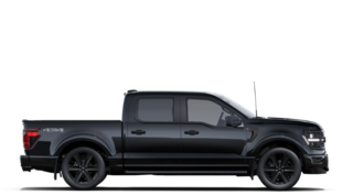 Ford F-150 STX 2025 à Amos, Québec - 5 - w320h240px