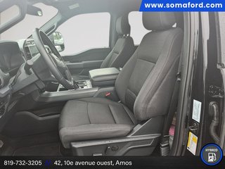 Ford F-150 XLT 2026 à Amos, Québec - 6 - w320h240px