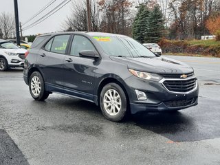 2019 Chevrolet Equinox LS in Hebbville, Nova Scotia - 5 - w320h240px