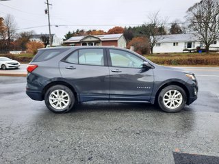 2019 Chevrolet Equinox LS in Hebbville, Nova Scotia - 6 - w320h240px