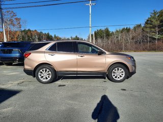 2019 Chevrolet Equinox LT in Hebbville, Nova Scotia - 6 - w320h240px