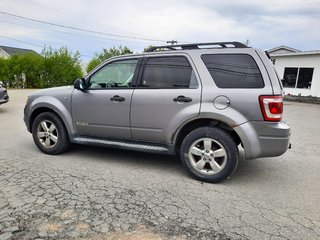 2008 Ford Escape XLT in Hebbville, Nova Scotia - 6 - w320h240px