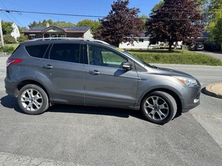 2014 Ford Escape Titanium in Hebbville, Nova Scotia - 3 - w320h240px