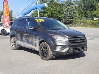 2017 Ford Escape Titanium in Hebbville, Nova Scotia - 2 - w320h240px