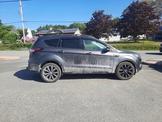 2017 Ford Escape Titanium in Hebbville, Nova Scotia - 3 - w320h240px