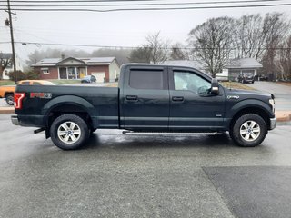 2015 Ford F-150 XLT in Hebbville, Nova Scotia - 6 - w320h240px