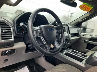 2015 Ford F-150 XLT in Hebbville, Nova Scotia - 3 - w320h240px