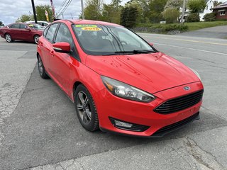 2016 Ford Focus SE in Hebbville, Nova Scotia - 2 - w320h240px