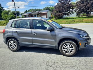 2015 Volkswagen Tiguan Comfortline in Hebbville, Nova Scotia - 3 - w320h240px